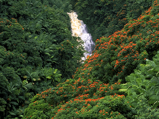 Kohala/Waipio