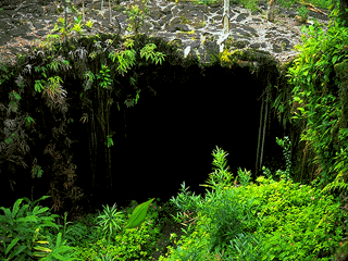 Kohala/Waipio